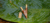 Banner rotativo 5