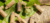 Banner rotativo 3