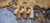 Banner rotativo 2