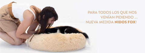 Imagen del carrusel 3