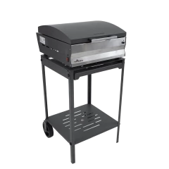 TROMEN ANGUS E480 con DIMMER en internet