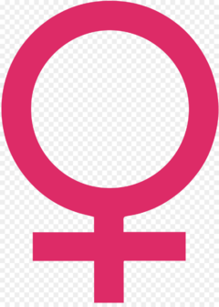Banner da categoria Feminino
