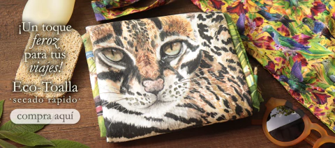 Carrusel Solar Arts & Crafts  | Diseño, regalos | Inspirados en Colombia