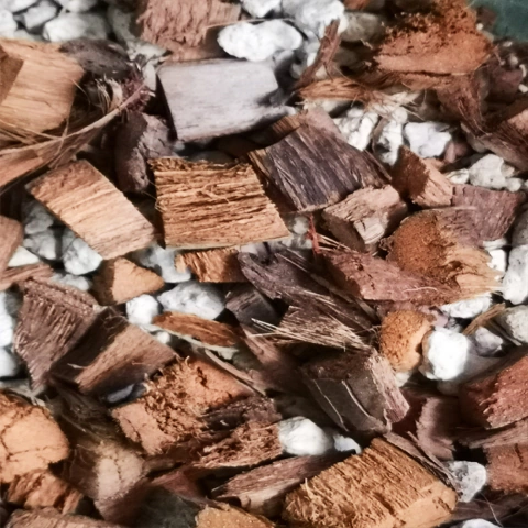 Sustrato para orquídeas