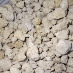 Tepezil - Suculentas Dzityá