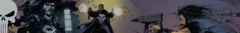 Banner de la categoría Punisher
