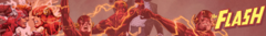 Banner de la categoría Flash