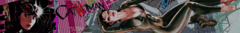 Banner de la categoría Catwoman