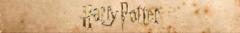 Banner de la categoría Castillo de Hogwarts