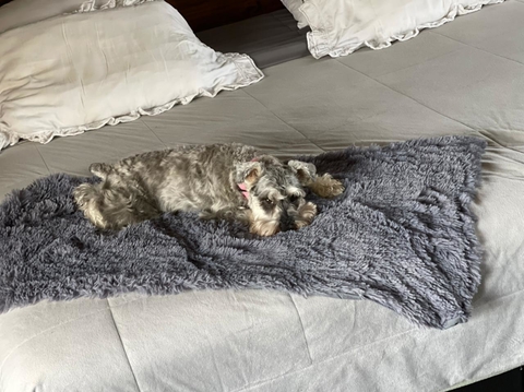 Manta / Pie de Cama / Abrigo - Pelo de Mono y Tussor - Happy Pets