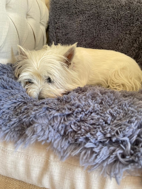 Manta / Pie de Cama / Abrigo - Pelo de Mono y Tussor