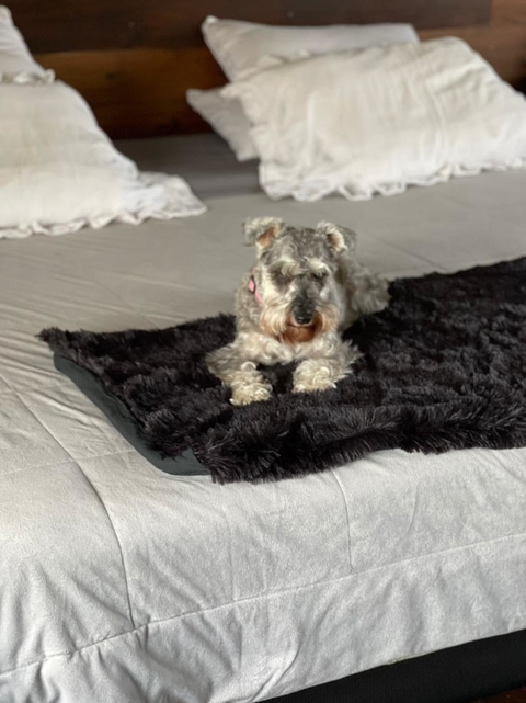 Manta / Pie de Cama / Abrigo - Pelo de Mono y Tussor - tienda online