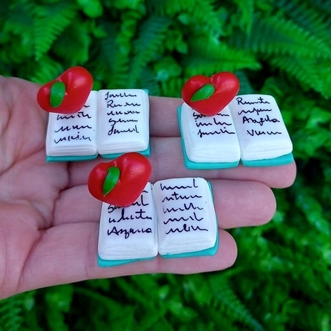 Kit 3 peças " Livro com Maçã "