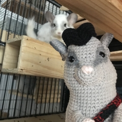 Última Unidade! Amigurumi Tutu Highlander + brinde chaveiro Thisle - loja online