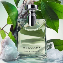 Perfume Pour Homme Eau de Parfum Bvlgari - Day Imports