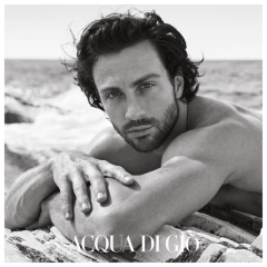 Acqua Di Giò Profondo Parfum Giorgio Armani