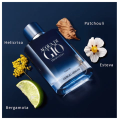 Acqua Di Giò Profondo Parfum Giorgio Armani - Day Imports