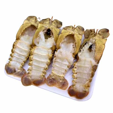 CAVAQUINHA LIMPA - 4 UNIDADES