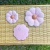 Conjunto de Flores Rosas Clássicas na internet