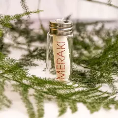 Banner de la categoría Meraki