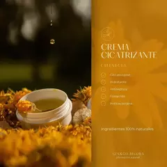 Banner de la categoría Ginkgo