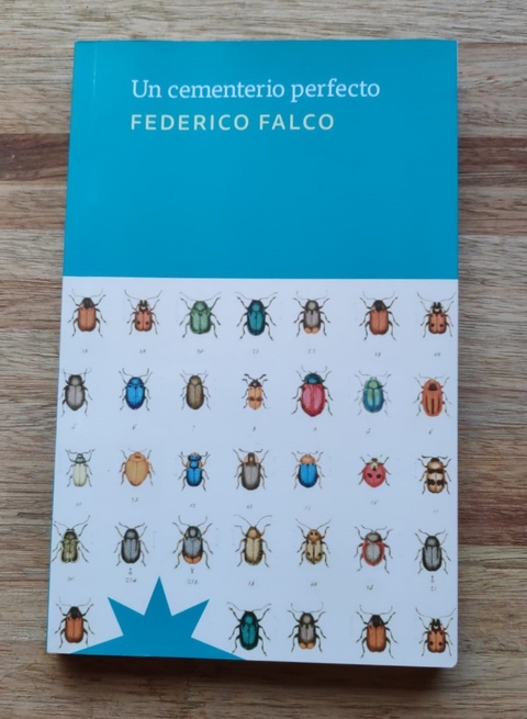 Un cementerio perfecto - Federico Falco