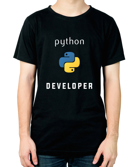 0817 - IT Python Developer