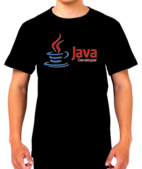 0368 - IT Java Developer