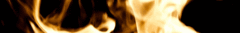 Banner de la categoría PROTECTORES TERMICOS