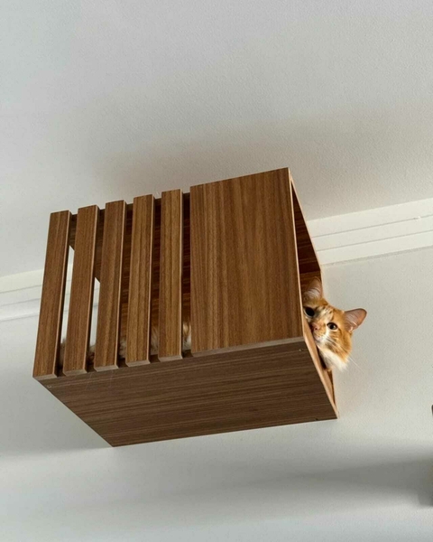 Nicho Ripado - comprar online