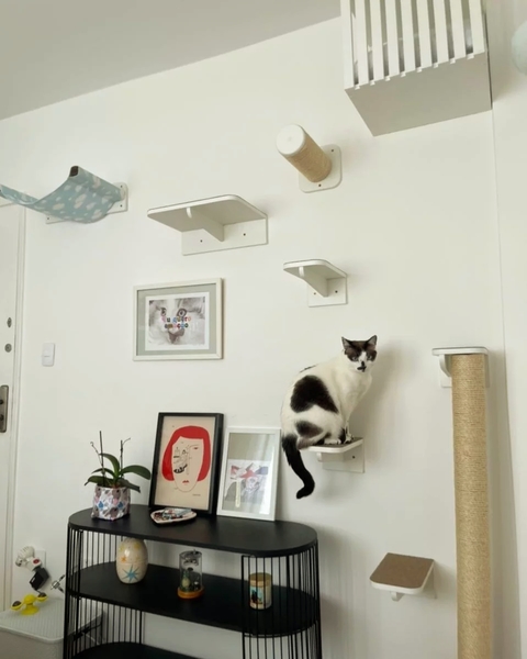 Parquinho Neneco - Completo