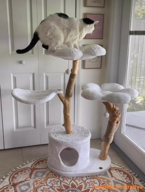 Arranhador Personalizado - comprar online