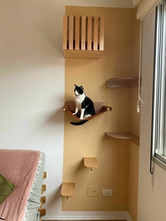 Parquinho Frajola na internet