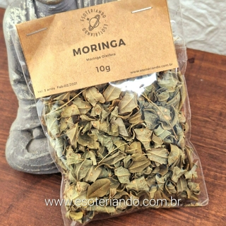 Moringa 10g