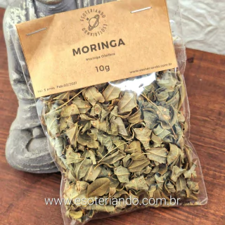 Moringa 10g