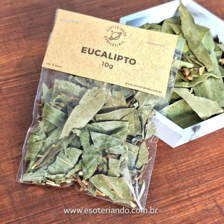 Eucalipto - 10g