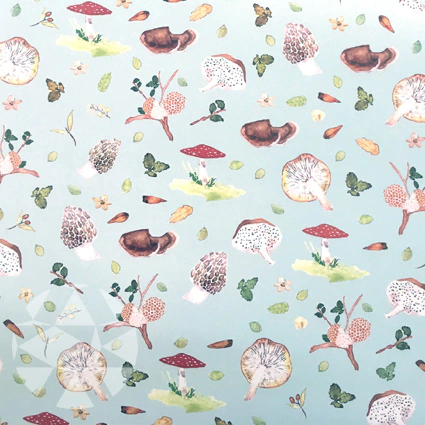 Dreams and Paper - Hongos