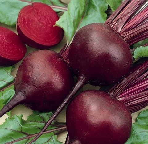 Semillas de Remolacha Early Wonder (Beta vulgaris)