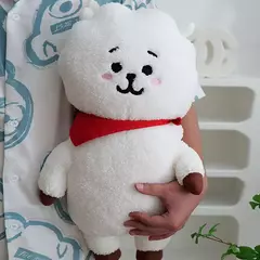 Pelúcia RJ bt21 55cm (Importado ✈️) - comprar online