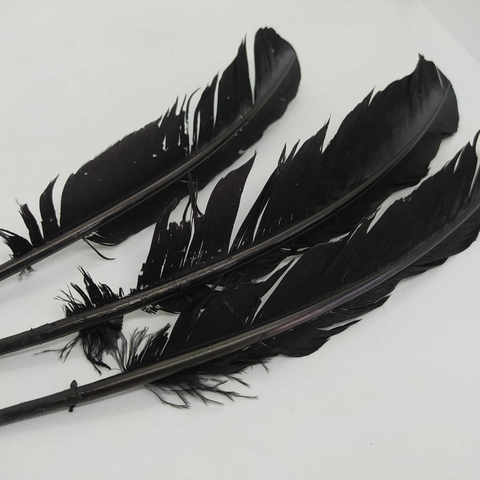 Pluma de pato x 10 unidades