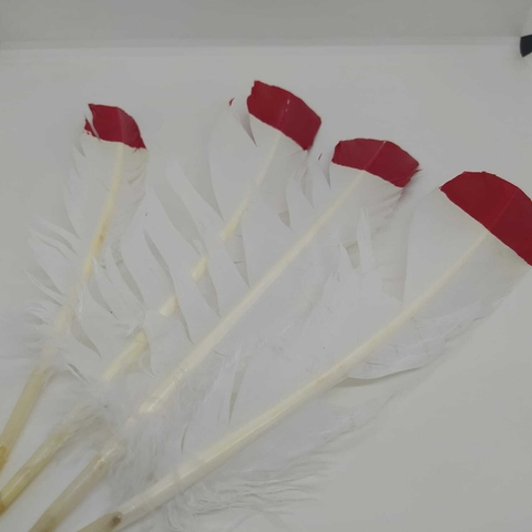 Pluma de pato x 10 unidades