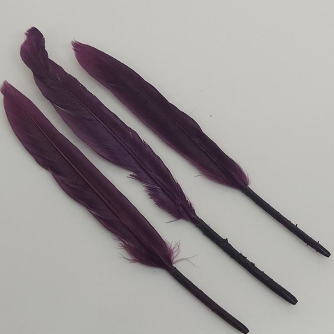Pluma de pato x 20 unidades