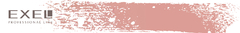 Banner de la categoría EXEL