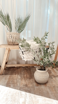 Canasto palma - comprar online