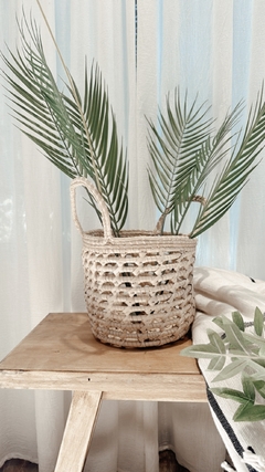 Canasto palma