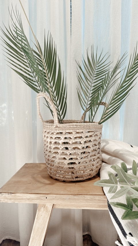 Canasto palma