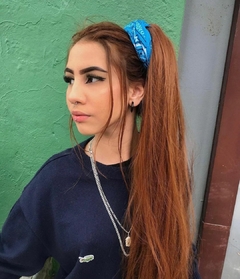 Banner da categoria Rabo de cavalo
