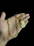 CORDÃO LACRAIA 5MM + PINGENTE - BANHADO A OURO 18K