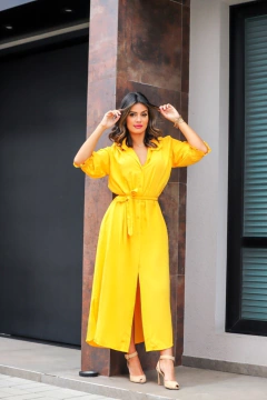 CHEMISE LUCIANA SLIM CORES LISAS - comprar online