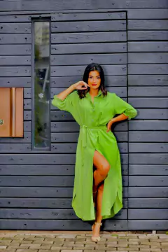 Imagem do CHEMISE LUCIANA SLIM CORES LISAS